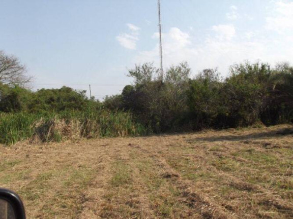Imagem Terreno à Venda, 80.000 m² em águas Claras - Viamão