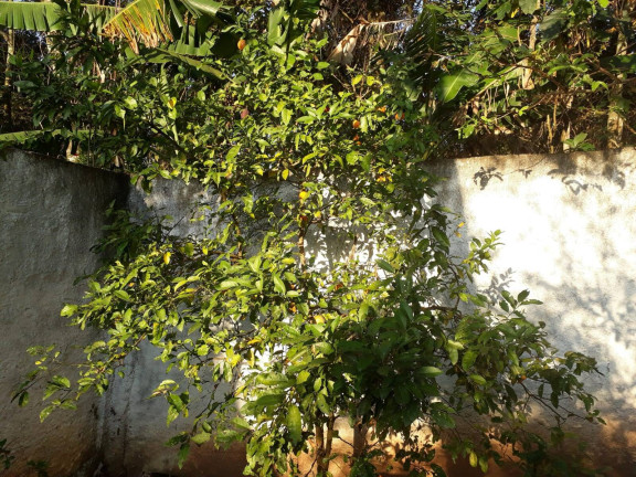 Imagem Chácara com 3 Quartos à Venda, 150 m² em Estância Santa Maria Do Portão - Atibaia Imagem Chácara com 3 Quartos à Venda, 150 m² em Estância Santa Maria Do Portão - Atibaia