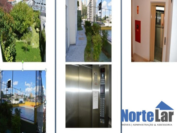 Imagem Apartamento com 2 Quartos à Venda, 50 m² em Vila Cruz Das Almas - São Paulo Imagem Apartamento com 2 Quartos à Venda, 50 m² em Vila Cruz Das Almas - São Paulo