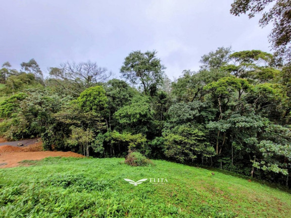 Imagem Chácara à Venda, 24.900 m² em Três Rios Do Norte - Jaraguá Do Sul Imagem Chácara à Venda, 24.900 m² em Três Rios Do Norte - Jaraguá Do Sul