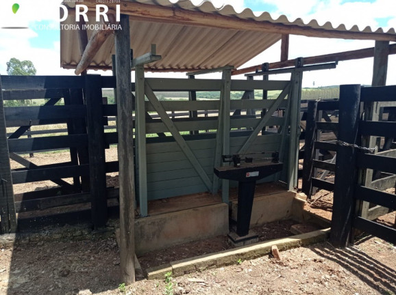 Imagem Imóvel com 1 Quarto à Venda, 1.137.400 m² em Centro - Paranapanema Imagem Imóvel com 1 Quarto à Venda, 1.137.400 m² em Centro - Paranapanema