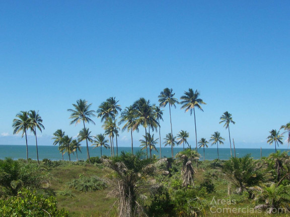 Imagem Chácara à Venda, 400.000 m² em Aritaguá - Ilhéus Imagem Chácara à Venda, 400.000 m² em Aritaguá - Ilhéus