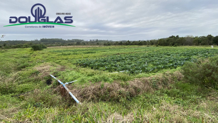 Imagem Chácara à Venda, em águas Claras - Viamão Imagem Chácara à Venda, em águas Claras - Viamão
