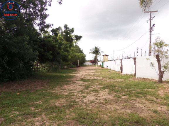 Imagem Chácara com 3 Quartos para Temporada, 15.000 m² em Ferreiro Torto - Macaíba Imagem Chácara com 3 Quartos para Temporada, 15.000 m² em Ferreiro Torto - Macaíba