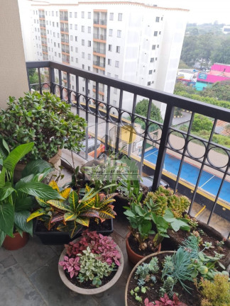 Imagem Apartamento com 2 Quartos à Venda, 57 m² em Cidade São Francisco - São Paulo Imagem Apartamento com 2 Quartos à Venda, 57 m² em Cidade São Francisco - São Paulo