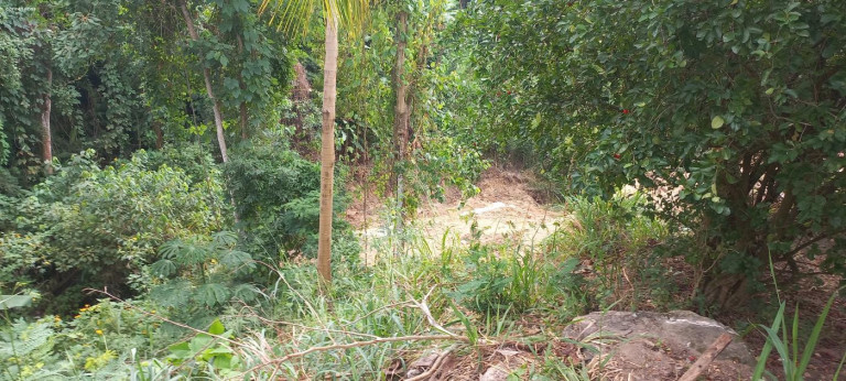 Imagem Terreno à Venda, 456 m² em São Francisco Da Praia - São Sebastião Imagem Terreno à Venda, 456 m² em São Francisco Da Praia - São Sebastião