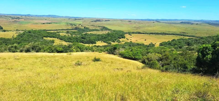 Imagem Imóvel com 2 Quartos à Venda, 1.300 m² em Santana Do Livramento Imagem Imóvel com 2 Quartos à Venda, 1.300 m² em Santana Do Livramento