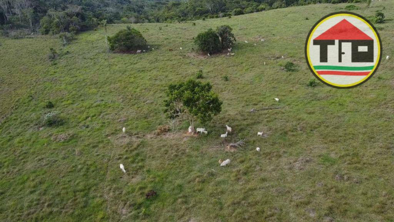 Imagem Fazenda à Venda, 15.342.800 m² em Zona Rural - Marabá Imagem Fazenda à Venda, 15.342.800 m² em Zona Rural - Marabá