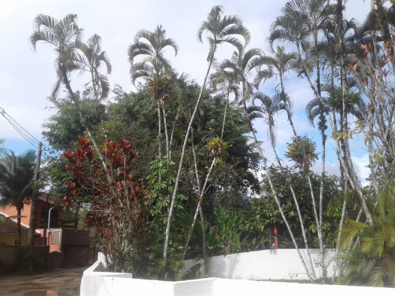 Imagem Casa com 3 Quartos à Venda, 220 m² em Praia De Maranduba - Ubatuba Imagem Casa com 3 Quartos à Venda, 220 m² em Praia De Maranduba - Ubatuba