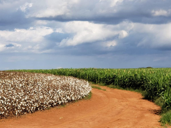 Imagem Fazenda à Venda, 2.178 m² em Rural - Itaí