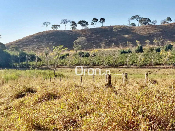Imagem Fazenda à Venda, 500 m² em Zona Rural - Goianápolis
