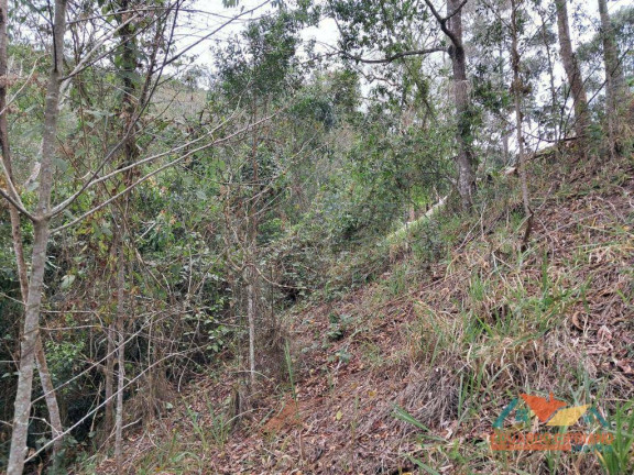 Imagem Chácara com 2 Quartos à Venda, 100 m² em Zona Rural - Paraibuna