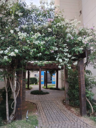 Imagem Apartamento com 2 Quartos à Venda, em Presidente Altino - Osasco Imagem Apartamento com 2 Quartos à Venda, em Presidente Altino - Osasco