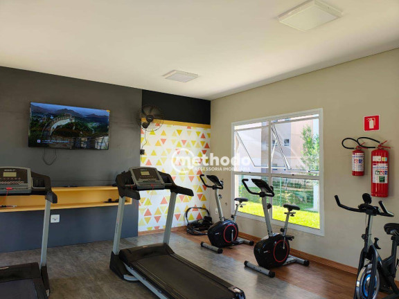 Imagem Apartamento com 2 Quartos para Alugar, 60 m² em Balneario Tropical - Paulínia Imagem Apartamento com 2 Quartos para Alugar, 60 m² em Balneario Tropical - Paulínia