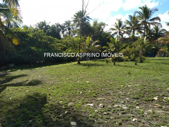 Imagem Imóvel à Venda, 8.000 m² em Mamoã - Ilhéus Imagem Imóvel à Venda, 8.000 m² em Mamoã - Ilhéus