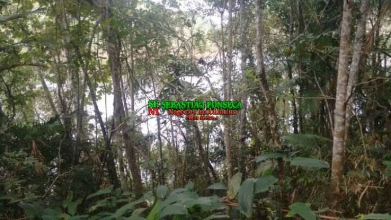 Imagem Fazenda à Venda, 1 m² em Centro - Redenção Da Serra Imagem Fazenda à Venda, 1 m² em Centro - Redenção Da Serra