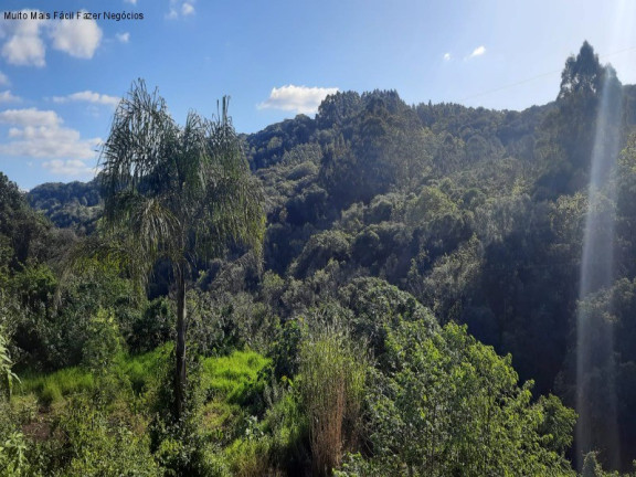 Imagem Casa com 2 Quartos à Venda, 64 m² em Recanto Dos Plátanos - Nova Petrópolis Imagem Casa com 2 Quartos à Venda, 64 m² em Recanto Dos Plátanos - Nova Petrópolis
