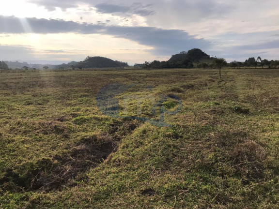 Imagem Fazenda à Venda, 120.000 m² em Jacaré - Torres
