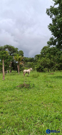 Imagem Fazenda à Venda, 37 m² em Zona Rural - Jussara Imagem Fazenda à Venda, 37 m² em Zona Rural - Jussara
