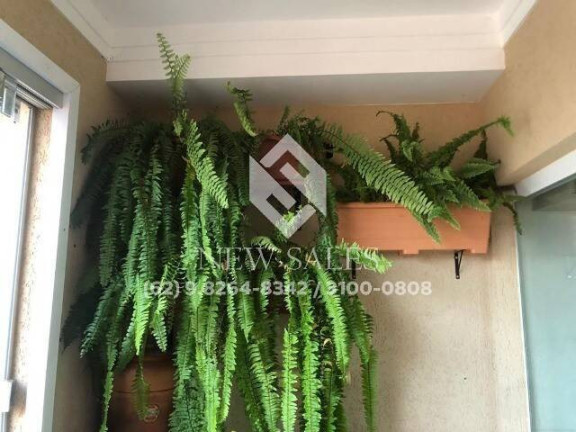 Imagem Apartamento com 3 Quartos à Venda, 76 m² em Parque Industrial Paulista - Goiânia Imagem Apartamento com 3 Quartos à Venda, 76 m² em Parque Industrial Paulista - Goiânia