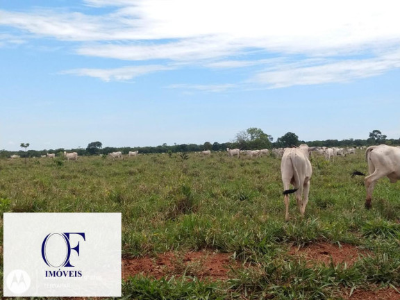 Fazenda à Venda, 3.097 m² em Rural - Chapadão Do Sul