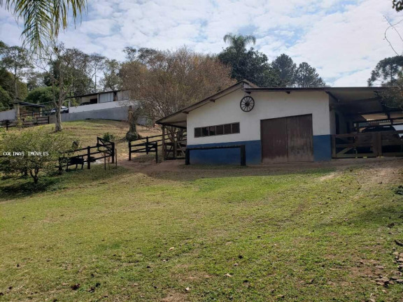 Imagem Imóvel com 3 Quartos à Venda, em Depois Do Centro - Ibiúna Imagem Imóvel com 3 Quartos à Venda, em Depois Do Centro - Ibiúna