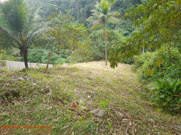 Imagem Terreno à Venda, 815 m² em Siriuba - Ilhabela Imagem Terreno à Venda, 815 m² em Siriuba - Ilhabela