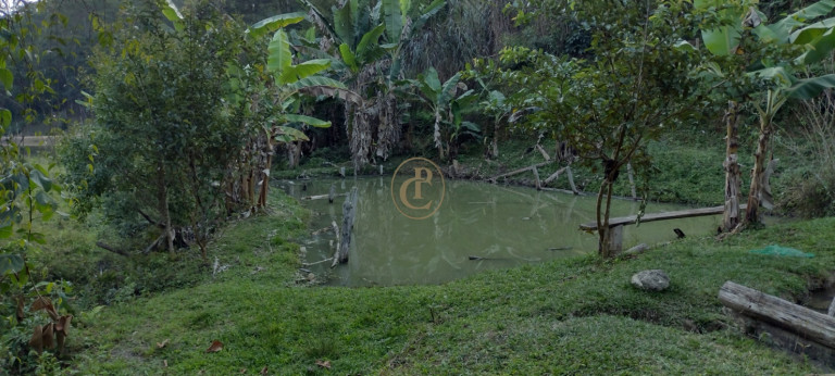 Imagem Chácara com 3 Quartos à Venda, em Morro Grande - São Luíz Do Paraitinga Imagem Chácara com 3 Quartos à Venda, em Morro Grande - São Luíz Do Paraitinga