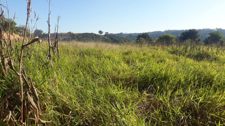 Imagem Terreno à Venda, 1.010 m² em Poço - Piedade Imagem Terreno à Venda, 1.010 m² em Poço - Piedade