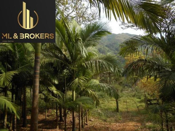 Imagem Imóvel com 2 Quartos à Venda, 24.000 m² em Pinhalzinho - Adrianopolis Imagem Imóvel com 2 Quartos à Venda, 24.000 m² em Pinhalzinho - Adrianopolis