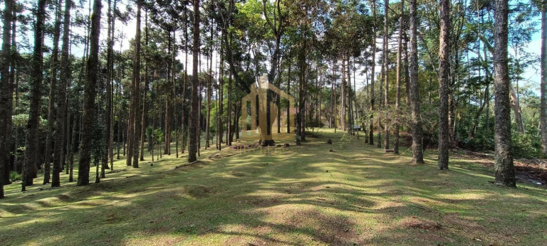 Imagem Chácara com 4 Quartos à Venda, 86.748 m² em São Dimas - Colombo