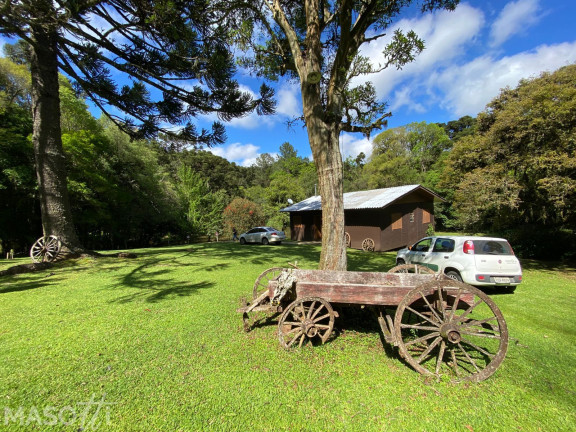 Imagem Chácara com 2 Quartos à Venda, 30.000 m² em Araripe - Gramado Imagem Chácara com 2 Quartos à Venda, 30.000 m² em Araripe - Gramado
