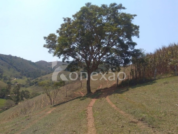Imagem Fazenda à Venda, 90 m² em Zona Rural - São Luíz Do Paraitinga