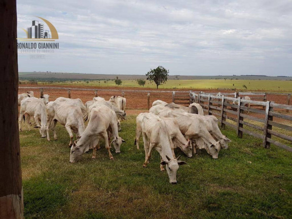 Imagem Fazenda à Venda, 22.022.000 m² em Distrito Industrial - Presidente Prudente Imagem Fazenda à Venda, 22.022.000 m² em Distrito Industrial - Presidente Prudente