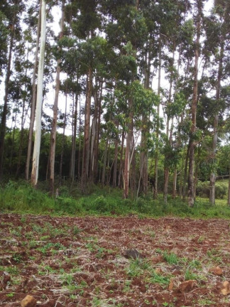 Imagem Chácara à Venda, em Lagoa Dos Barros - Santo Antônio Da Patrulha Imagem Chácara à Venda, em Lagoa Dos Barros - Santo Antônio Da Patrulha