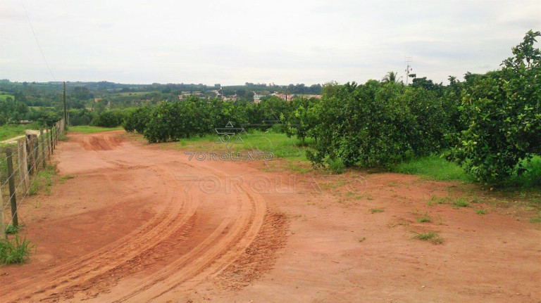 Imagem Terreno à Venda, 72.600 m² em Centro - Conchal