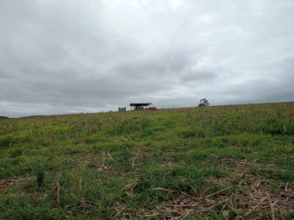 Fazenda à Venda, 96 m² em Rural - Avaré