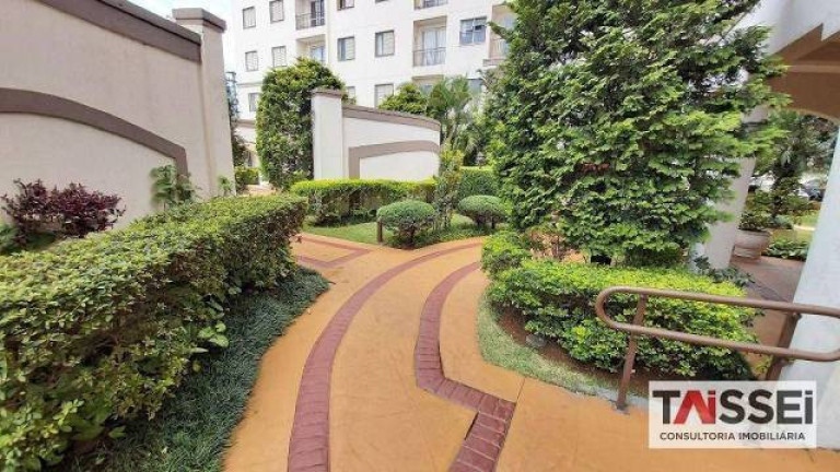 Imagem Apartamento com 4 Quartos à Venda, 62 m² em Vila Santa Catarina - São Paulo