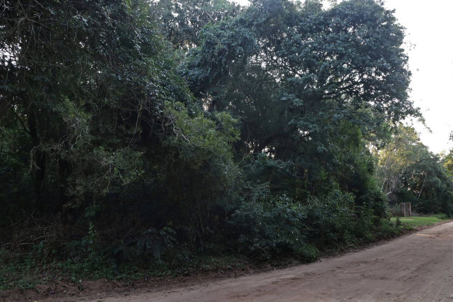 Imagem Terreno à Venda, 1.350 m² em águas Claras - Viamão