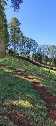Imagem Imóvel com 5 Quartos à Venda, 2.890.000 m² em Centro - Botucatu Imagem Imóvel com 5 Quartos à Venda, 2.890.000 m² em Centro - Botucatu