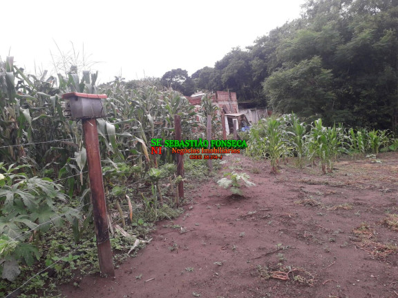 Imagem Chácara à Venda, 1.290 m² em Jardim Santa Hermínia - São José Dos Campos Imagem Chácara à Venda, 1.290 m² em Jardim Santa Hermínia - São José Dos Campos