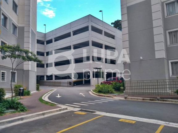 Imagem Apartamento com 2 Quartos à Venda, 49 m² em Gopoúva - Guarulhos Imagem Apartamento com 2 Quartos à Venda, 49 m² em Gopoúva - Guarulhos