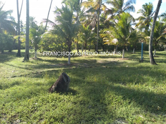 Imagem Imóvel à Venda, 8.000 m² em Mamoã - Ilhéus Imagem Imóvel à Venda, 8.000 m² em Mamoã - Ilhéus