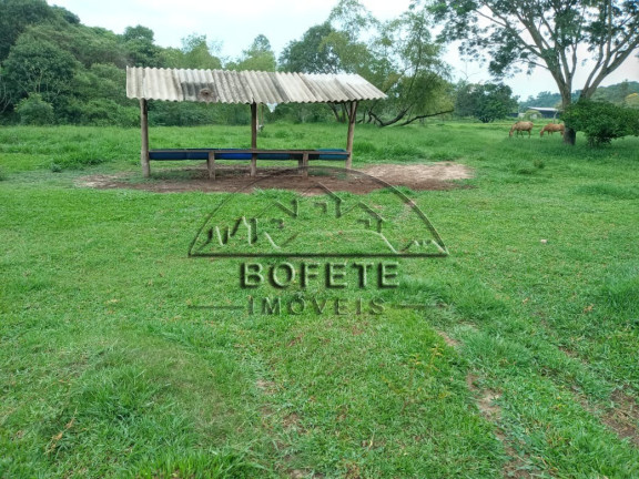 Imagem Imóvel à Venda, 42.000 m² em São Marcos - Bofete Imagem Imóvel à Venda, 42.000 m² em São Marcos - Bofete