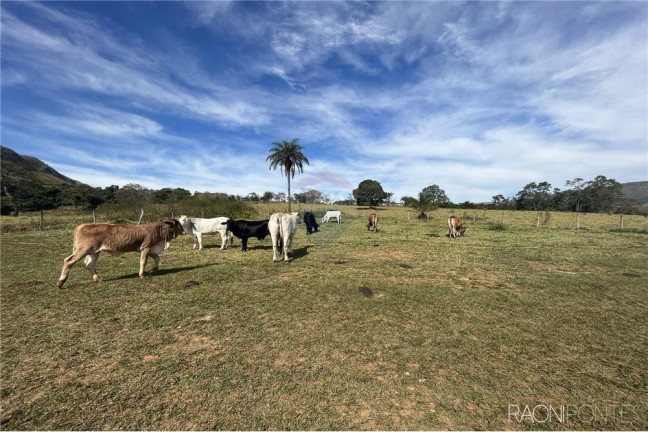 Imagem Fazenda à Venda, 720.000 m² em Centro - São Roque De Minas Imagem Fazenda à Venda, 720.000 m² em Centro - São Roque De Minas