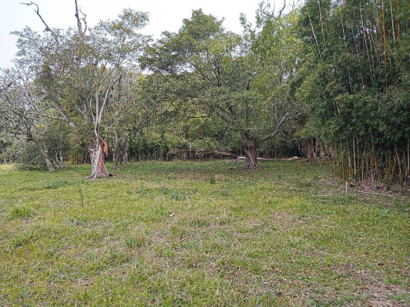 Imagem Terreno à Venda, 713 m² em águas Claras - Viamão