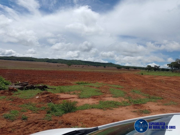 Imagem Fazenda à Venda, 219 m² em Zona Rural - Montes Claros De Goiás Imagem Fazenda à Venda, 219 m² em Zona Rural - Montes Claros De Goiás