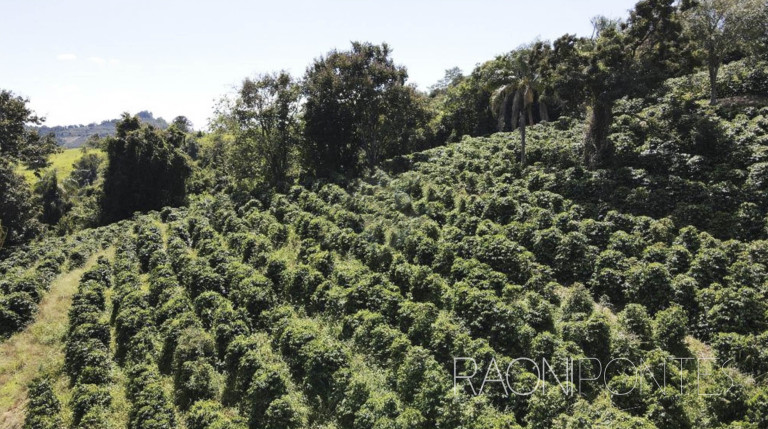 Imagem Fazenda à Venda, 484.000 m² em Zona Rural - Caconde Imagem Fazenda à Venda, 484.000 m² em Zona Rural - Caconde