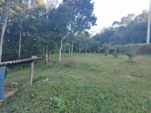 Imagem Terreno à Venda, 2.800 m² em Borghetto - Garibaldi