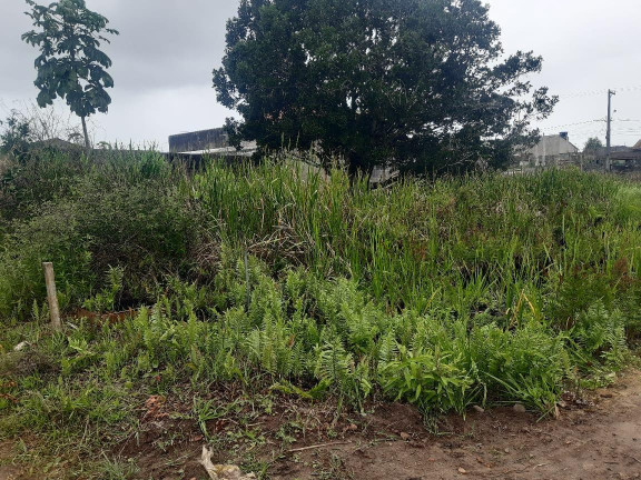 Imagem Terreno à Venda, 250 m² em Bopiranga - Itanhaém Imagem Terreno à Venda, 250 m² em Bopiranga - Itanhaém
